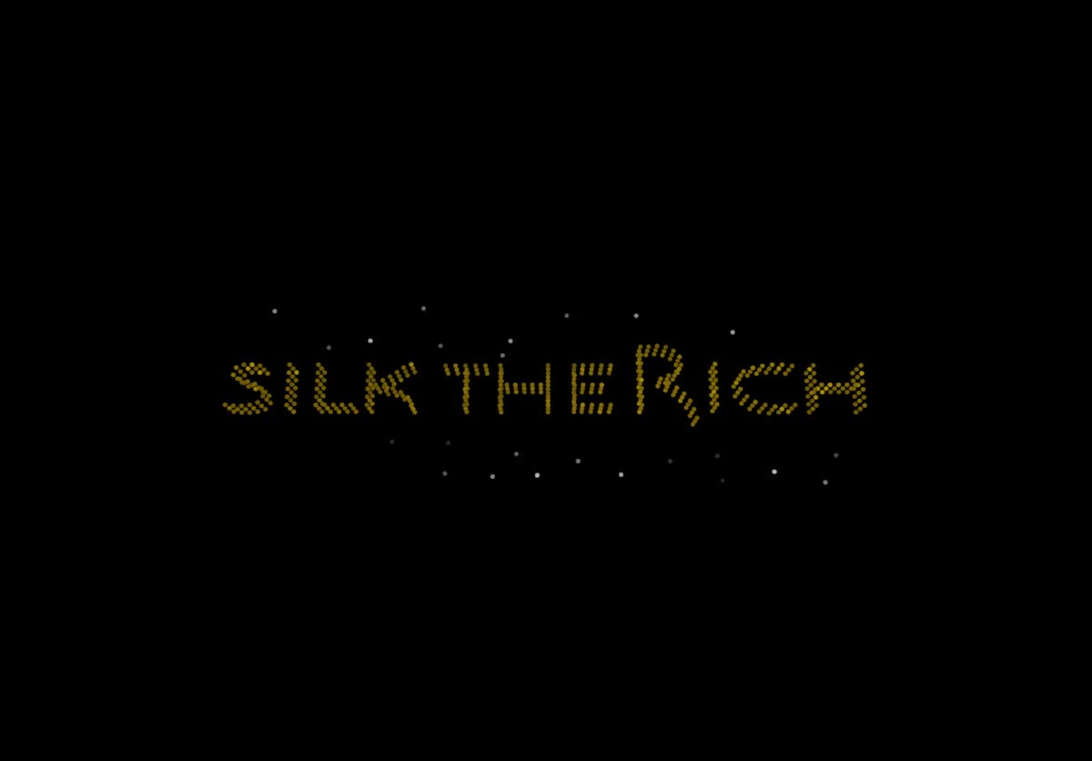 PARTNER — SILK THE RICH